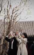 沈阳故宫：BTC钱包花期已